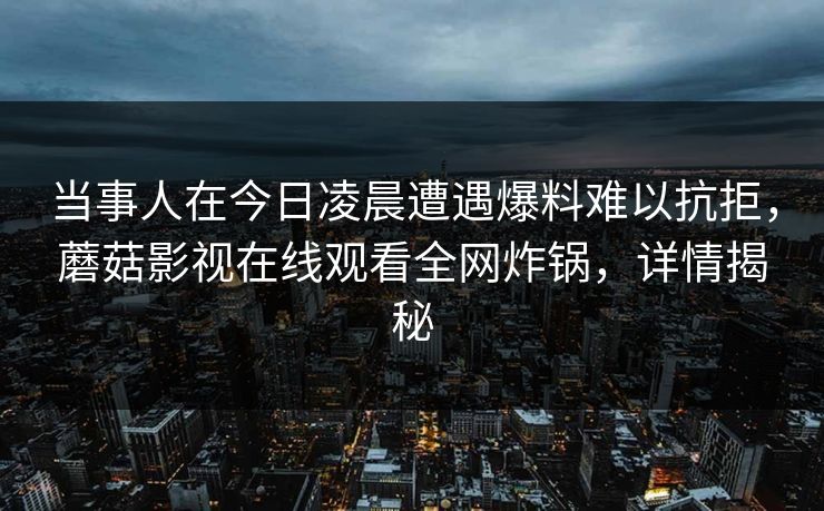 当事人在今日凌晨遭遇爆料难以抗拒，蘑菇影视在线观看全网炸锅，详情揭秘